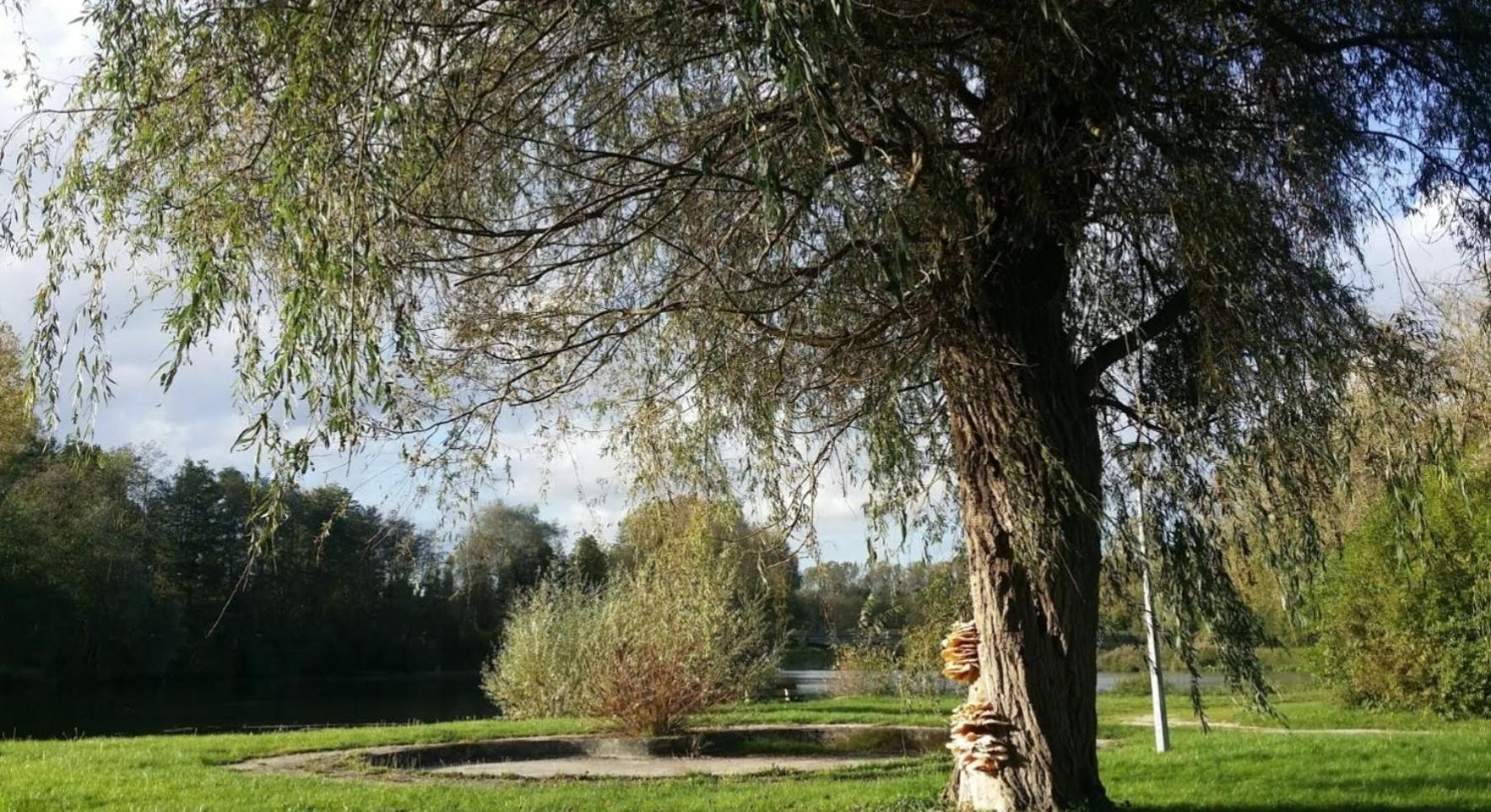 A La Vielle Halle Souppes-sur-Loing Esterno foto